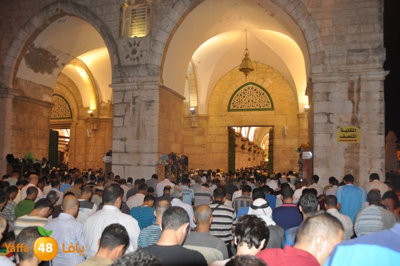 lud trawer7 aqsa 805 (60).JPG